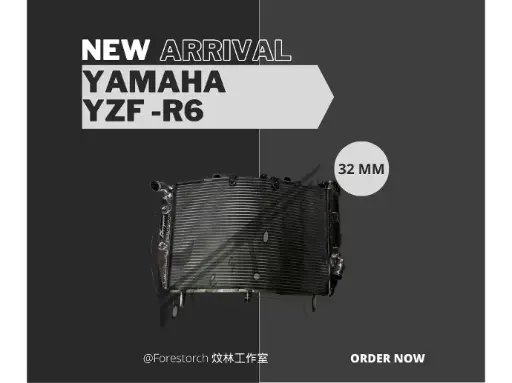 【炆林】YAMAHA YZF-R6 改裝 全鋁加厚加大水箱 水冷散熱器 改善散熱20%